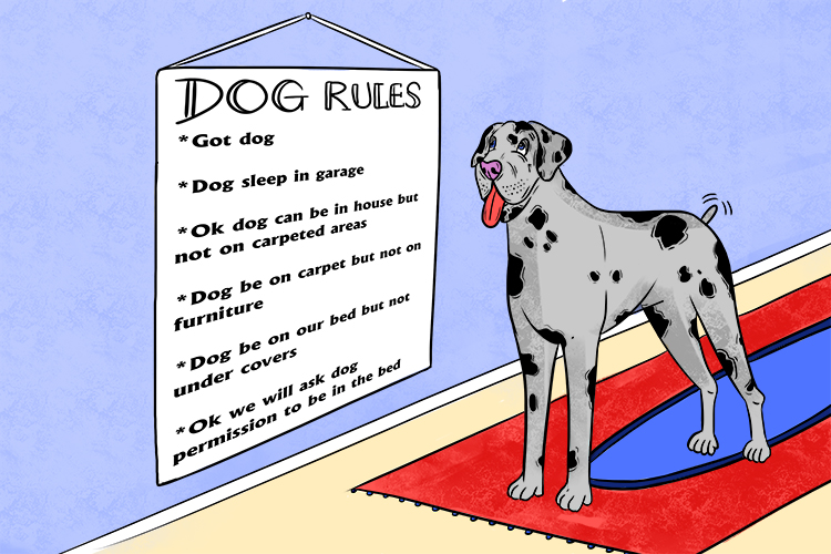 The dog rules (doggerel) were on the wall but they were badly written.